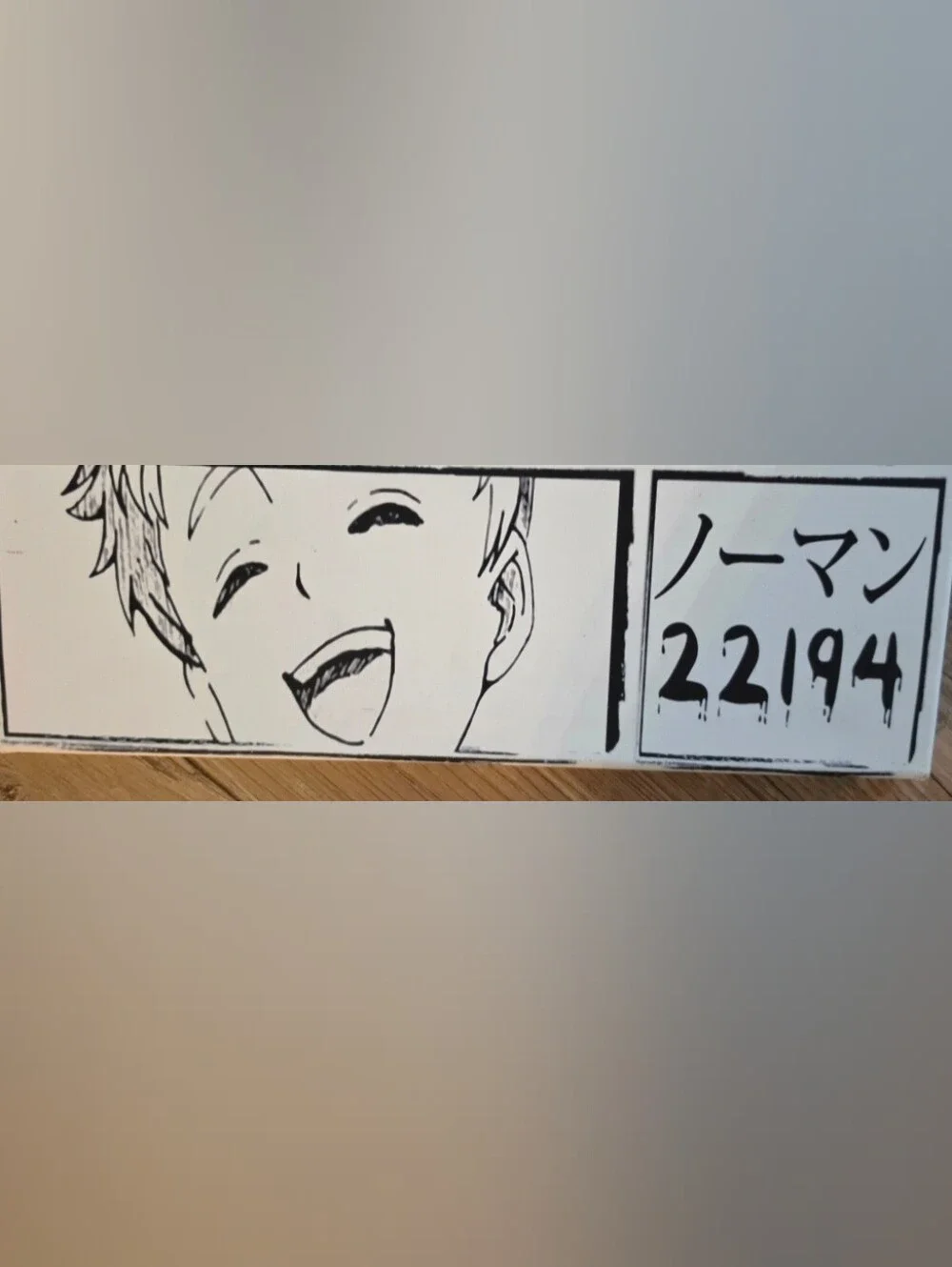 The Promised Neverland Anime Graphic Wall Art Canvas (NEW) Limited Edition